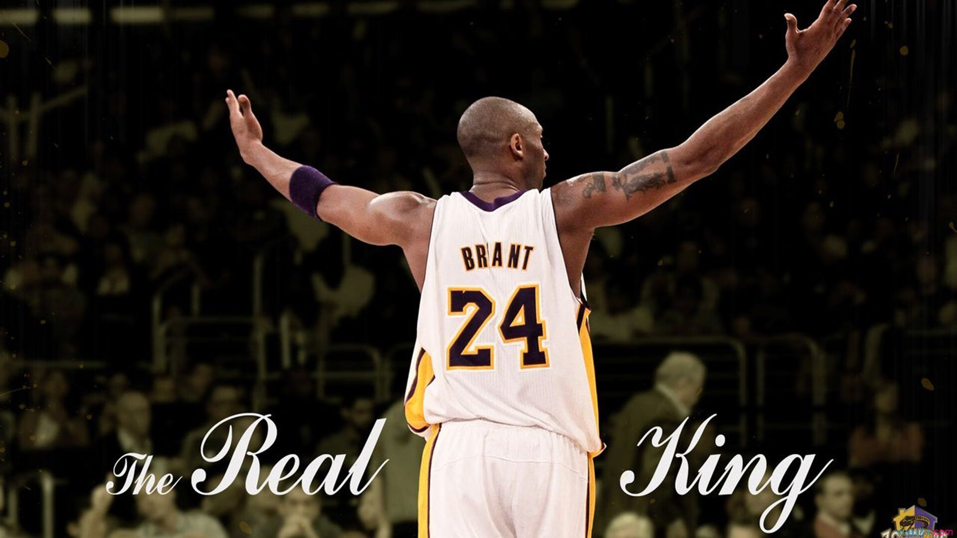 开云体育-以“篮球+科技”为主题的创新赛事首次亮相上海，科技感篮球场