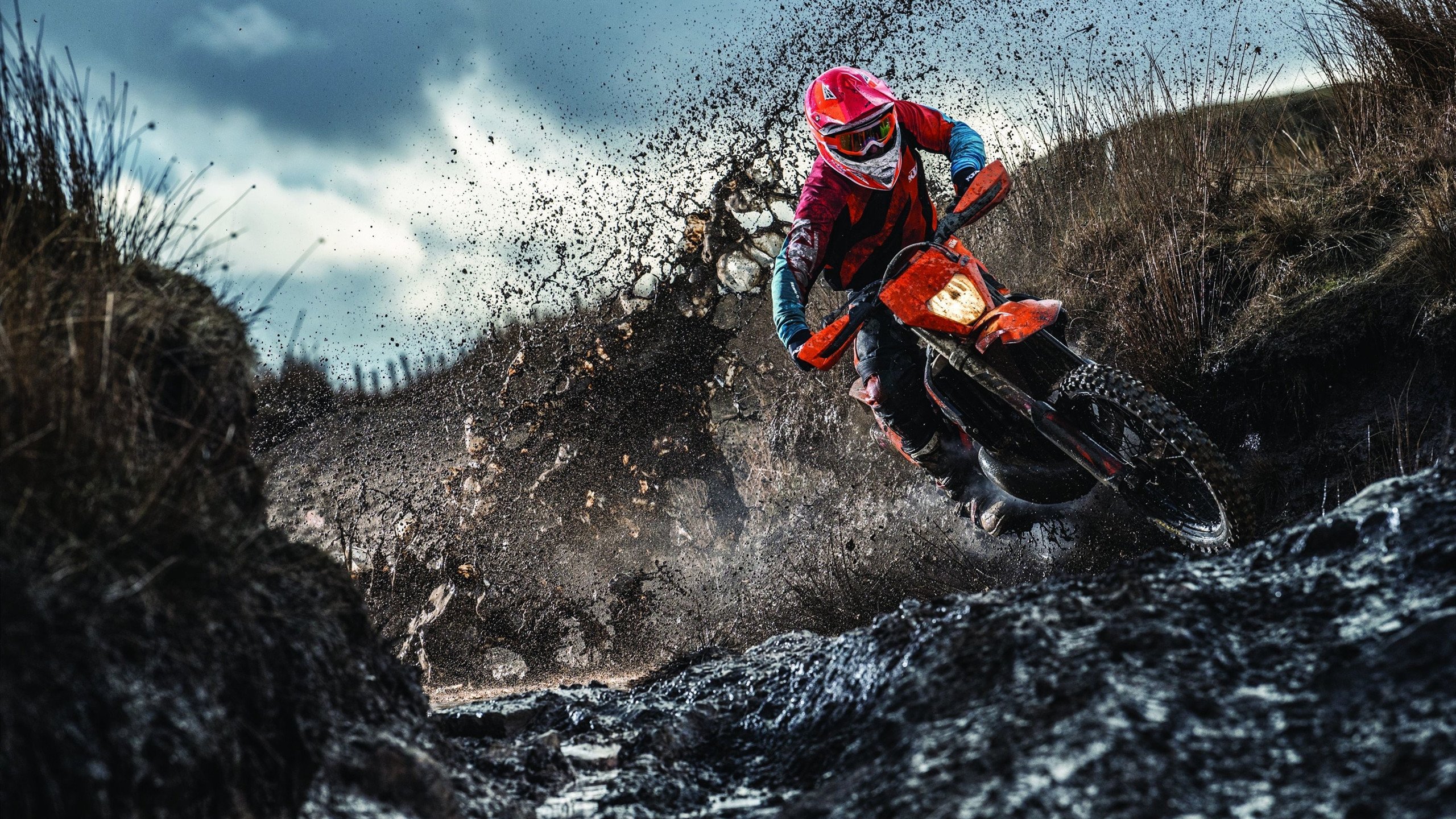 开云中国-电竞与传统体育深度融合，跨界创新不断推进，电竞能和体育相提并论