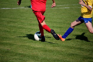 开云·体育官网APP下载-世界马拉松大满贯赛事上海站开跑，世界马拉松大满贯赛事上海站开跑时间